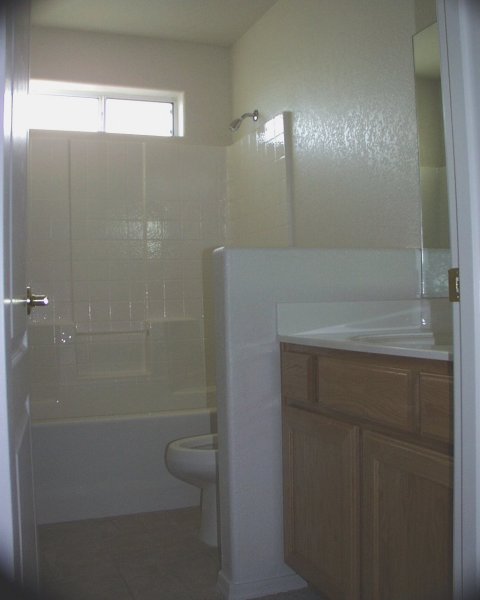 Guest / Main bathroom