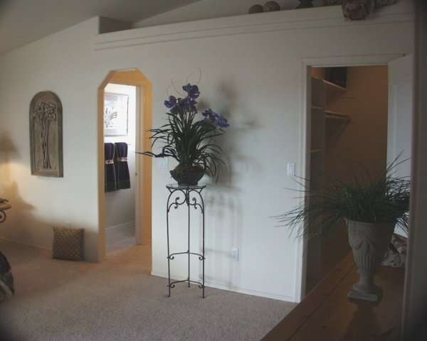 Walk-in closet
